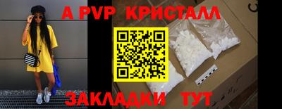 дмт Кингисепп