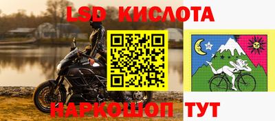 дмт Кингисепп