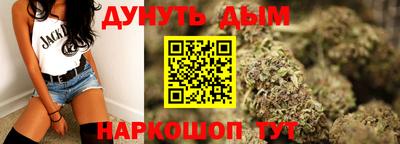 дмт Кингисепп