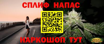 дмт Кингисепп