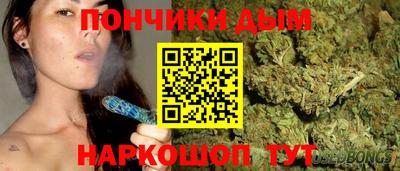 дмт Кингисепп