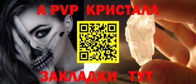 дмт Кингисепп